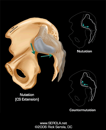 sacrum nutation